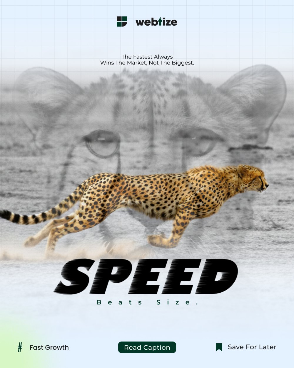 Fast marketing strategy diagram showing SEO, performance campaigns, and growth momentum